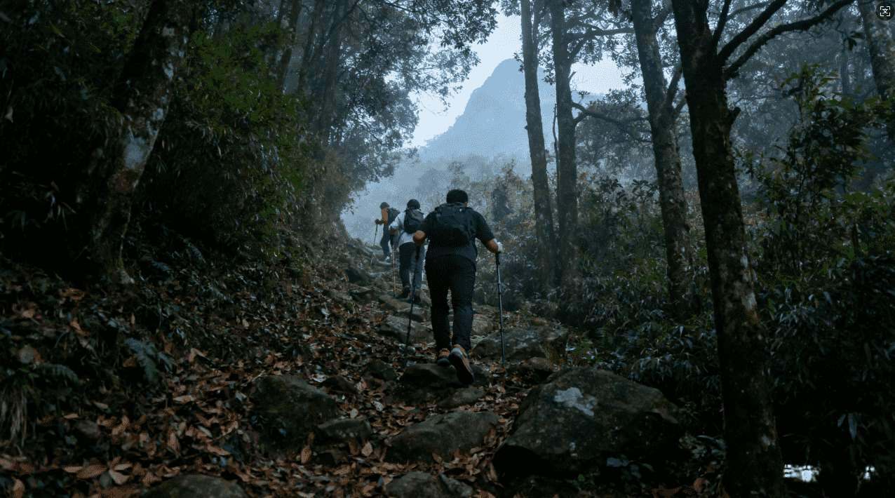 如何通过网络加速器789提升游戏体验